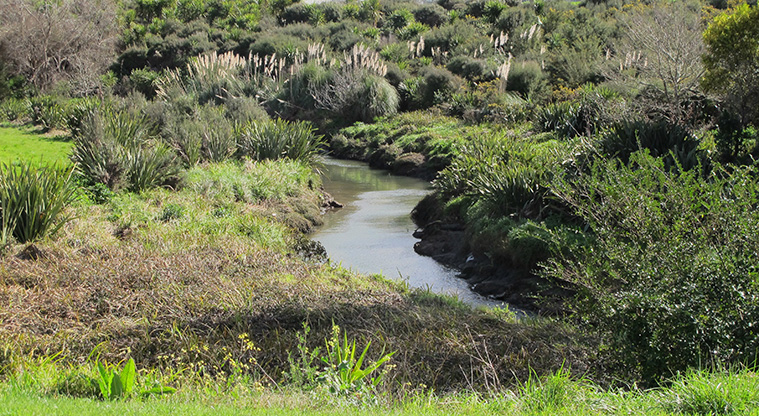 Pakuranga Creek Path - The path follows Pakuranga Creek.