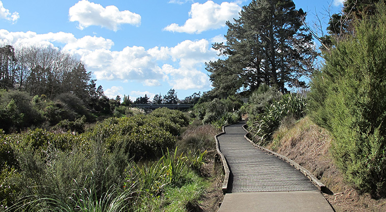 Pakuranga Creek Path - A short boardwalk section of the path.