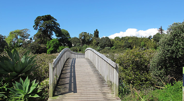Pakuranga Rotary Path - Short boardwalk section.
