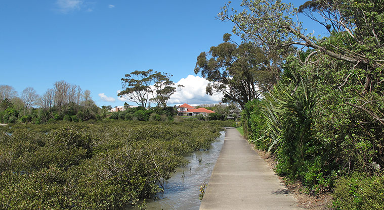 Pakuranga Rotary Path - Care is needed on the edge of the path.