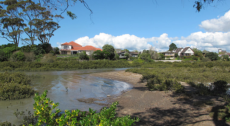 Pakuranga Rotary Path - Bird sanctuary – no dogs.
