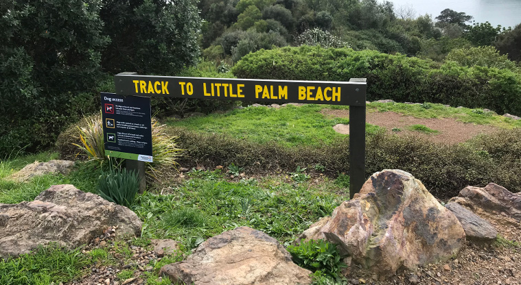 Palm Beach Lookout Path - On Cory Road, walk to the headland and head down the track.