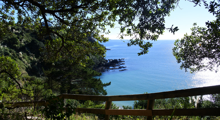 Palm Beach Lookout Path - The track leads you all the way down to Little Palm Beach.