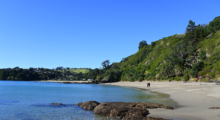 Palm Beach Lookout Path - Palm Beach is beautiful, rain or shine.