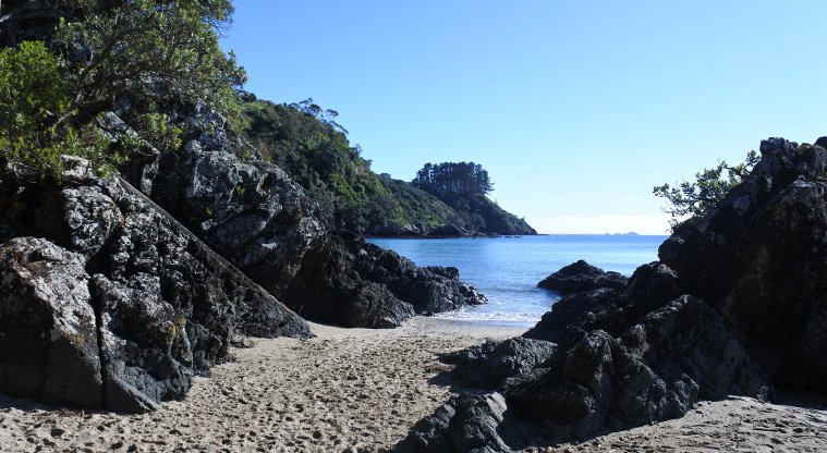Palm Beach Lookout Path - Wind your way around or across the rocks between little and main Palm Beach.