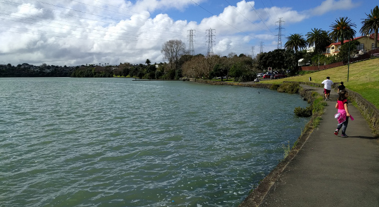 Panmure Basin Path - View from the path over Panmure Basin (Photo Credit: Courtney Brown).