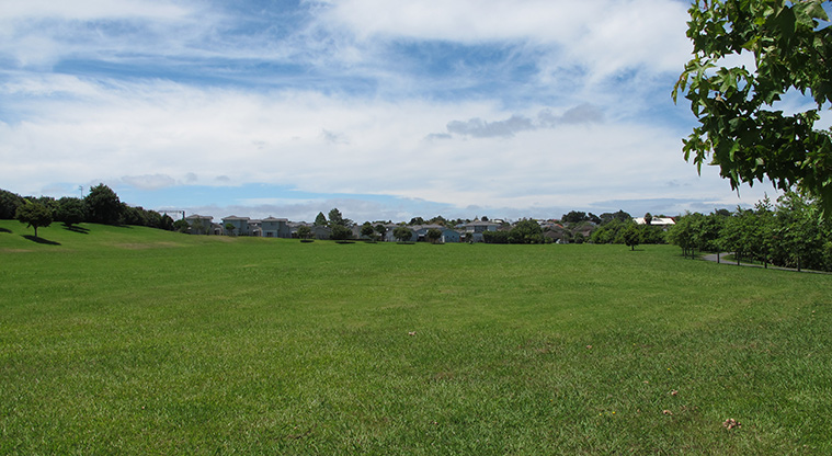 Paremuka Lakeside Path - Large open area suitable for off-leash dog exercise.