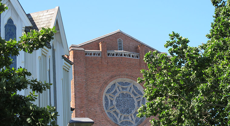 Parnell Path - St Mary's Church with Holy Trinity Cathedral in the background.