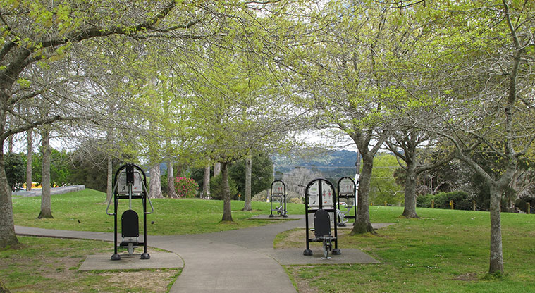Parrs Park Path - Exercise equipment shaded by trees.