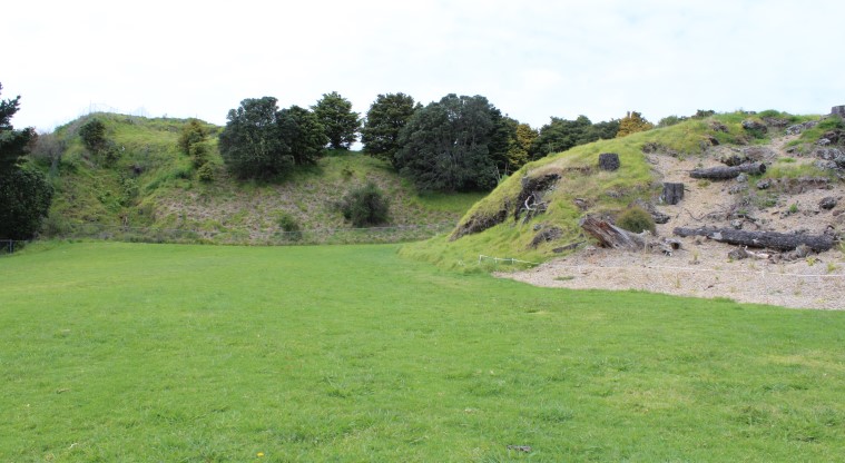 Ōhuiarangi / Pigeon Mountain Path - A flat section of the grassy path.