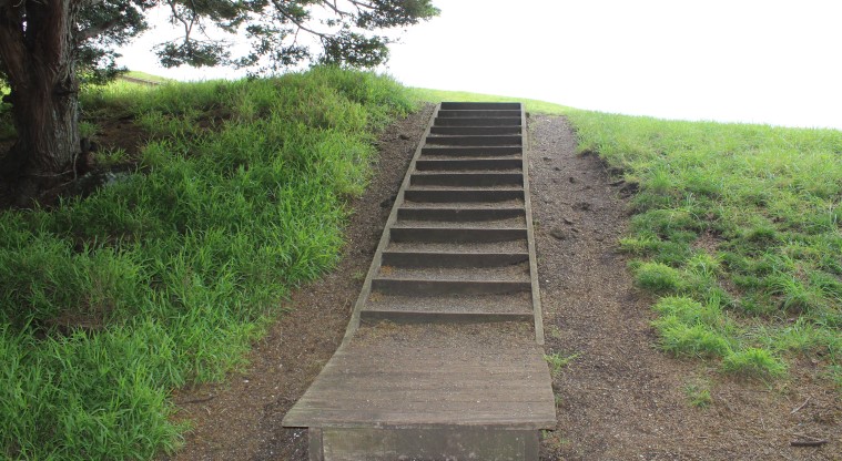 Ōhuiarangi / Pigeon Mountain Path - A set of stairs heading up towards the grass path.