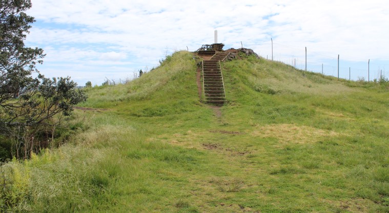 Ōhuiarangi / Pigeon Mountain Path - The final flight of stairs leading to the tihi (summit).