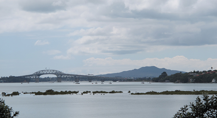 Point Chevalier Path - Views to Harbour Bridge and Rangitoto from Coyle Park.