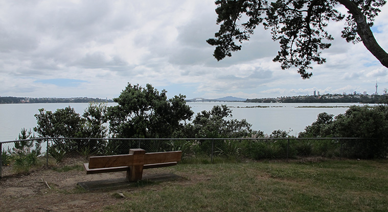 Point Chevalier Path - Plenty of seating in Coyle Park.