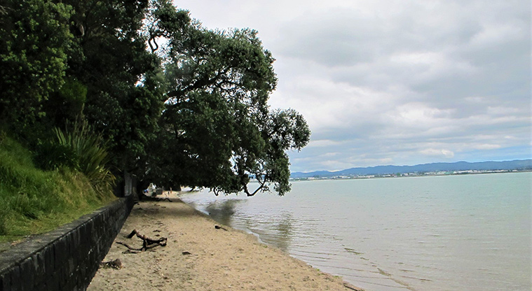 Point Chevalier Path - Short section of route on the beach.