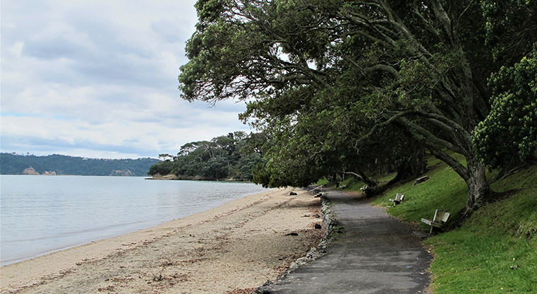 Point Chevalier Path - Path looking along Pt Chevalier Beach.