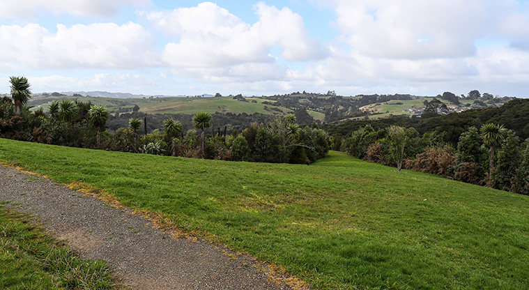 Point View Bush Path - A section of gravel path.