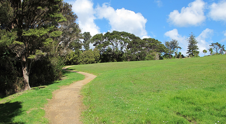 Point View Bush Path - A section of open gravel path taking you back to the car park area.
