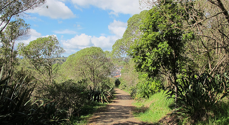 Point View Loop Path - Follow the gravel path through the bush.