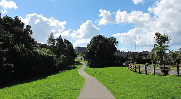Point View Loop Path - A section of sealed path alongside established bush.