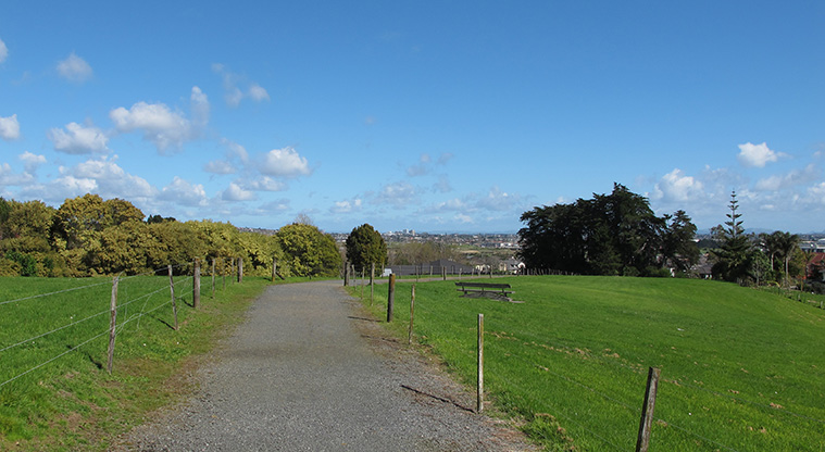Point View Loop Path - A section of path through Gracechurch Reserve.