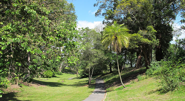 Ponsonby to Victoria Park Path - Path through Pt Erin Park
