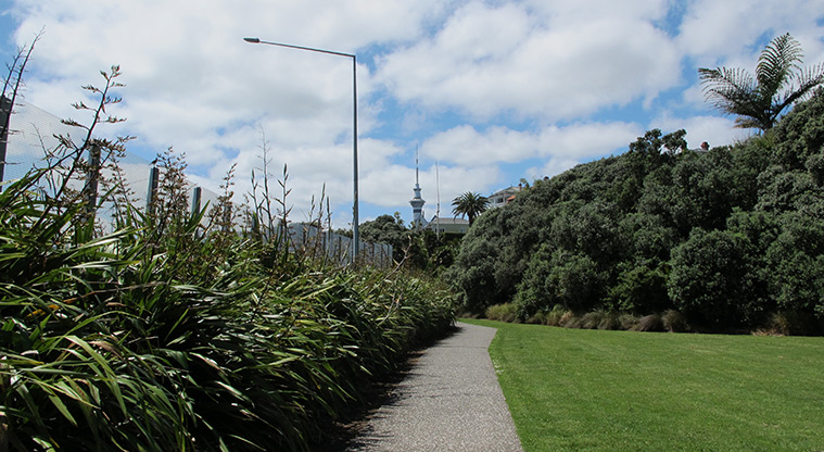 Ponsonby to Victoria Park Path - Views to the Sky Tower