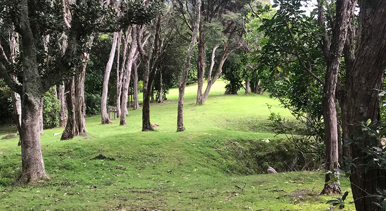 Poukaraka Pā Path - The pā site has many kumara pits - recognisable as shallow indentations in the ground. Please do not walk through as they are fragile.