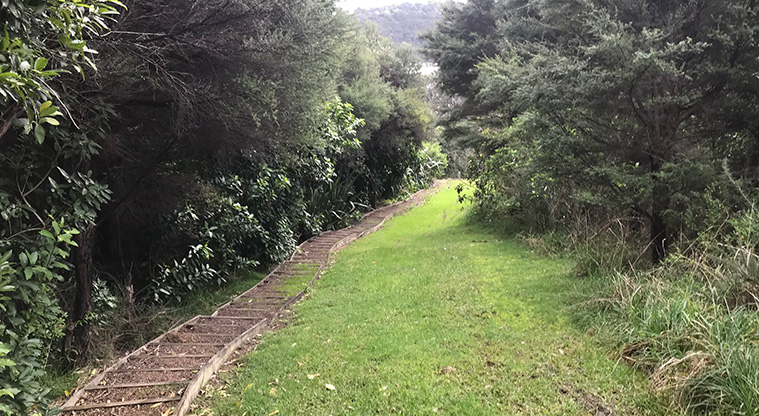 Poukaraka Pā Path - The last section of path takes you back to the car park.