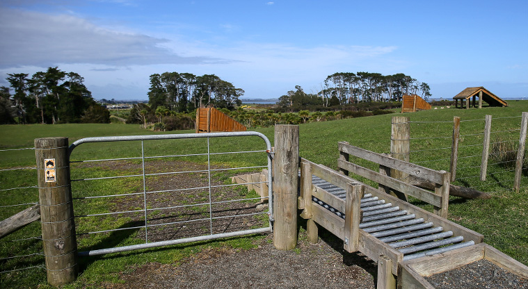 Puhinui Path - Farm gate and bike ramp. Do leave any gates the way you find them.