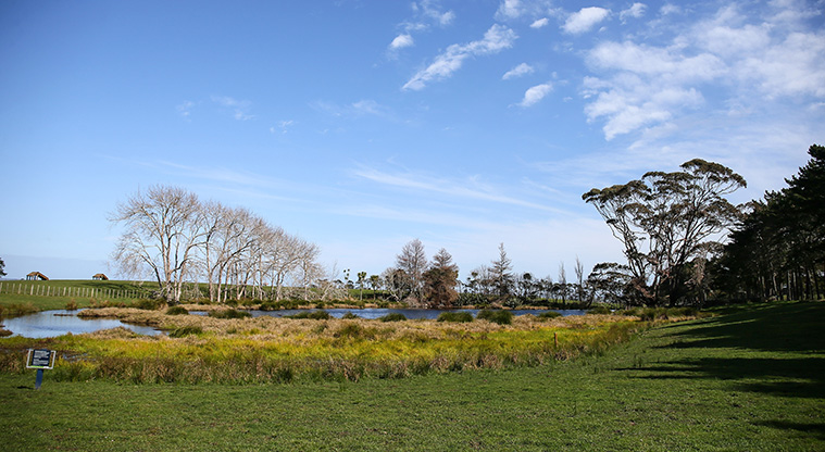Puhinui Path - Wetlands area.
