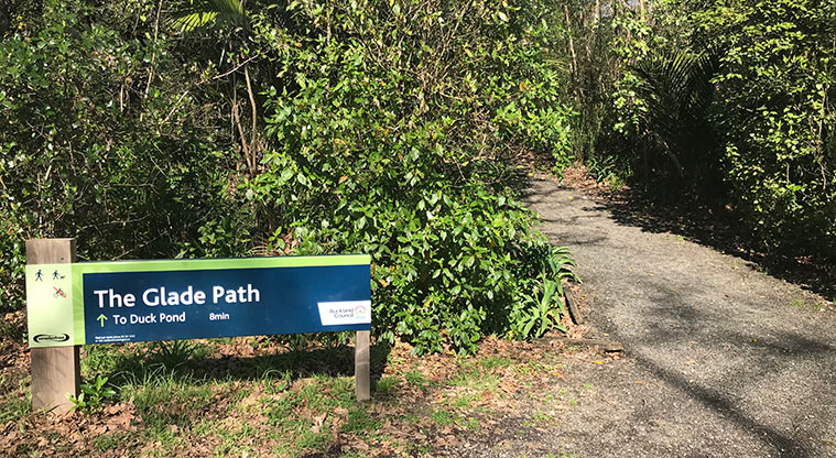 Pukekawa Centennial Glade Path- Glade Path access from Domain Drive.