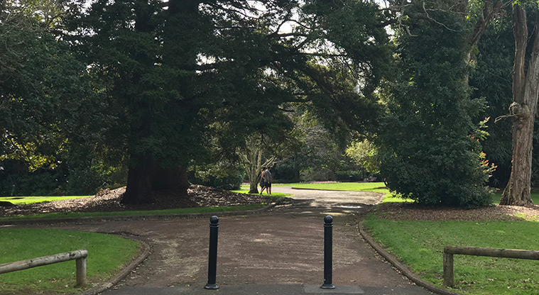 Pukekawa Gardens and Museum Path - Path start and entry to the gardens.
