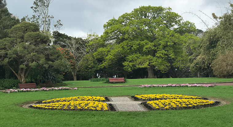 Pukekawa Gardens and Museum Path - Garden beds.