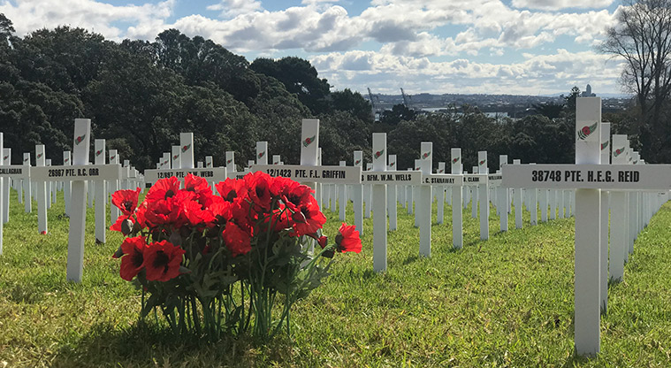 Pukekawa Gardens and Museum Path - ANZAC commemorations.