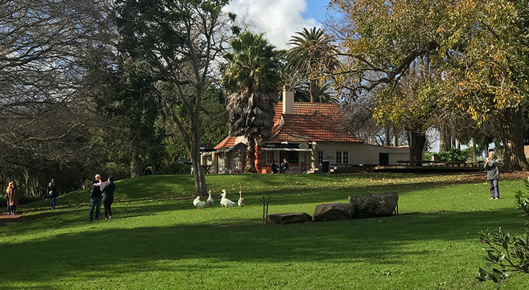 Pukekawa Gardens and Museum Path - Kiosk and lawn.