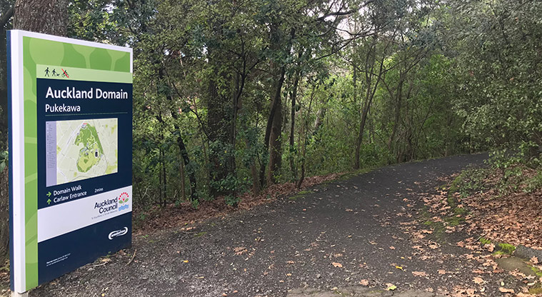 Pukekawa Trail Lovers Path - Suggested start point if accessing from Parnell side of the Domain.