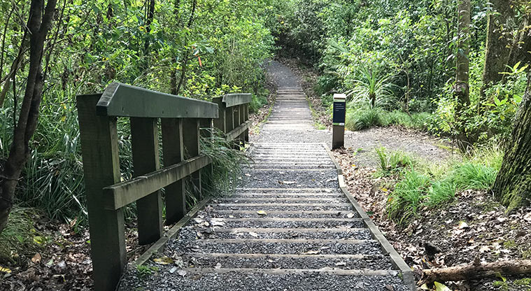 Pukekawa Trail Lovers Path - Short section of steps which links the trail to the Parnell rail station.