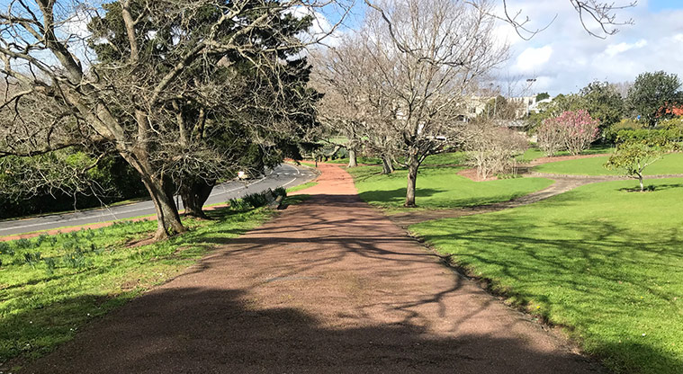 Pukekawa Trail Lovers Path - Complete the path on the iconic red chip path.