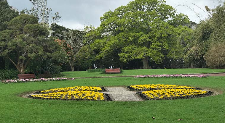 Pukekawa Urban Ngahere Path – Formal flower beds in the domain.