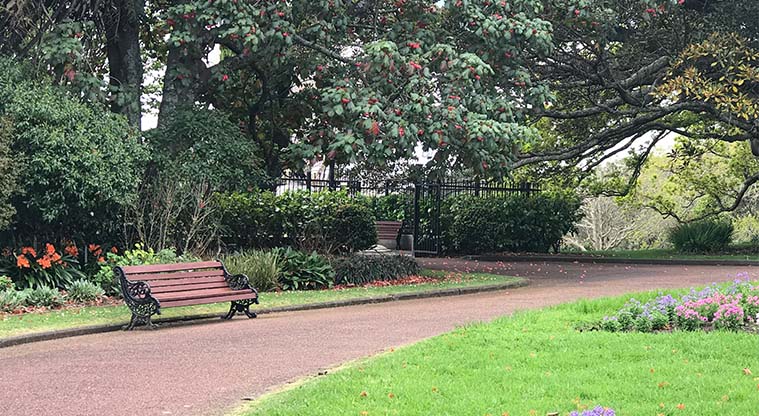 Pukekawa Urban Ngahere Path – Path through the formal gardens.