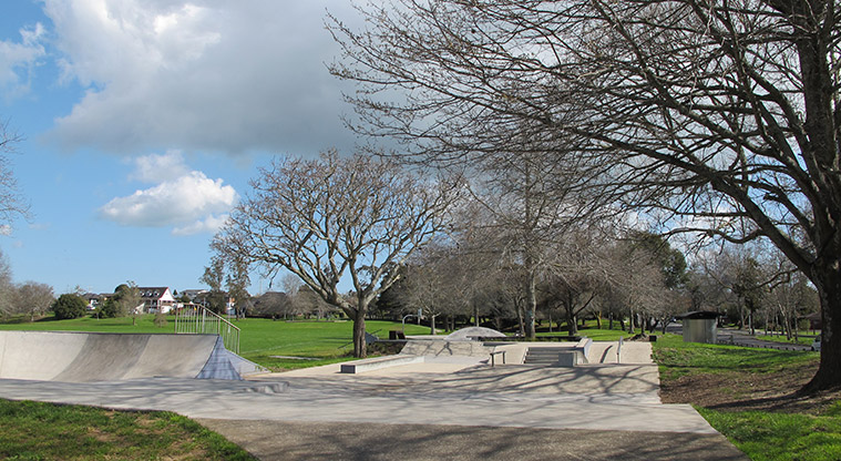 Pāhurehure Esplanade Path – Otaawhati / Ray Small Park skate park.