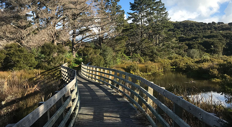 Rangihoua Wetland Path - The creek is now part of a large wetland system.