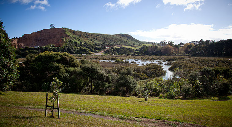 Rangihoua Wetland Path - The mountain bike track towards O’Brien Road gives great views across the wetland towards Stonyridge.