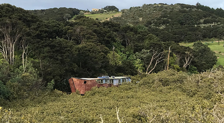 Rangihoua Wetland Path - Across the road is the first of many houseboats, tucked away along the Rangihoua Creek.