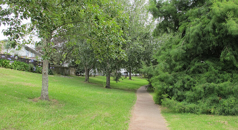 Rewi Alley Reserve Path - Path through established trees.
