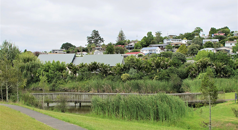 Rewi Alley Reserve Path - Path runs alongside a large stormwater pond.