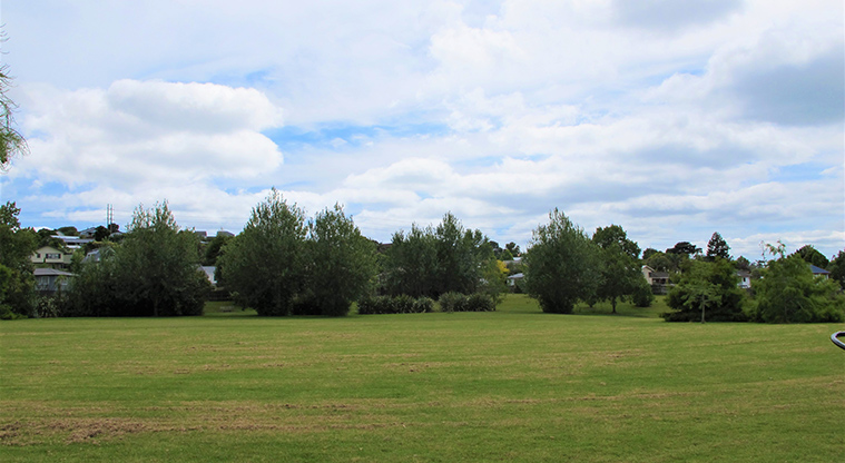 Rewi Alley Reserve Path - Large dog exercise area.