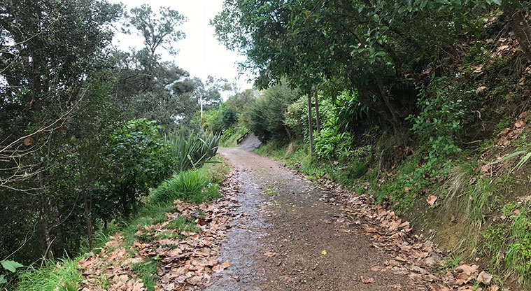 Rocky Bay Beachfront Path - A very quiet, level gravel road awaits, an ideal place for beginning cyclists.