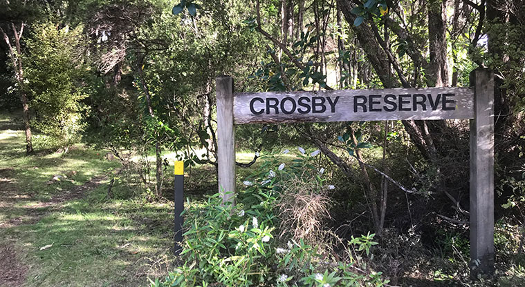 Rocky Bay Roads Path - Take the very short climb up to Crosby Reserve. Even most Waiheke locals don’t know this spot!